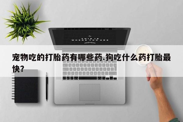 米非米索网上购买宠物吃的打胎药有哪些药.狗吃什么药打胎最快？